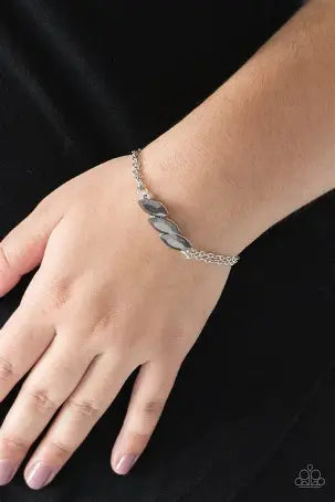 Paparazzi - Pretty Priceless - silver